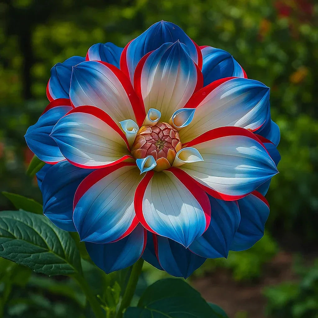 🌸Dalias dobles raras: flores únicas que nunca se encuentran en jardines comunes-ES