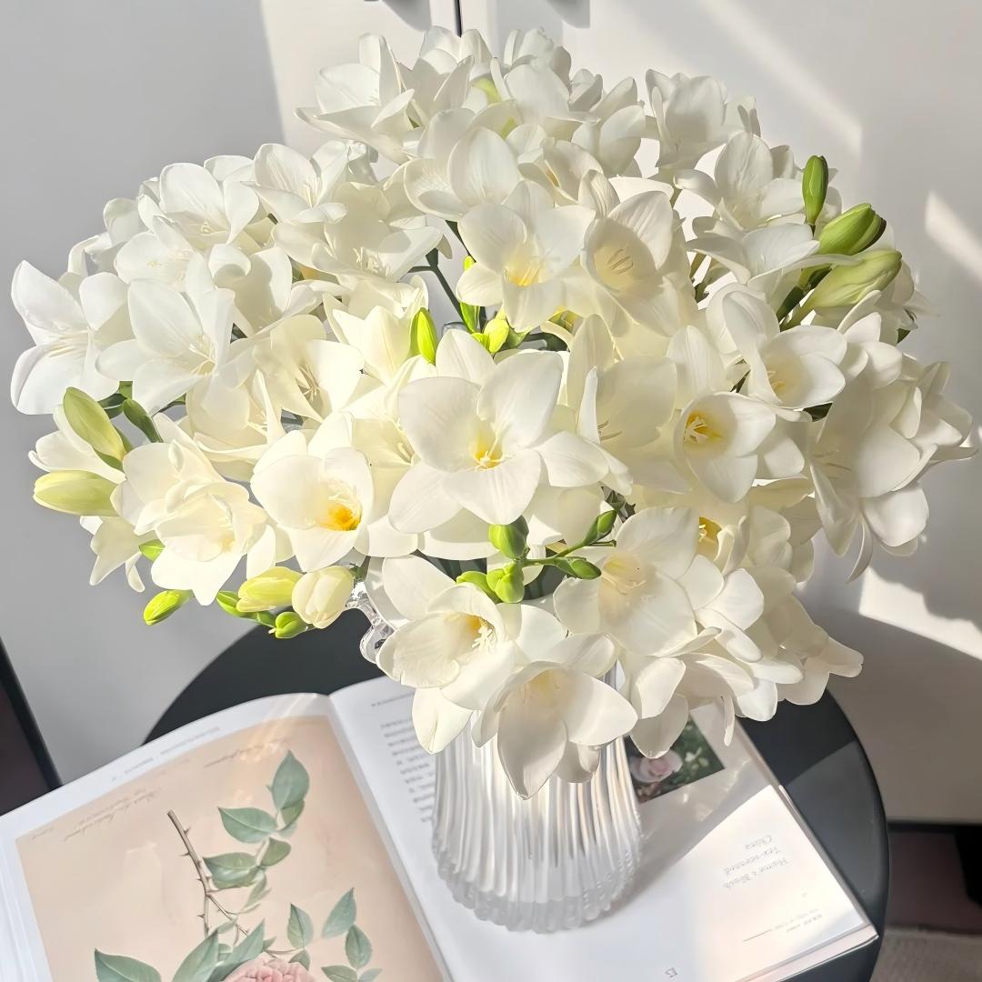 🌷 Fresias en bulbos: una fragancia conocida en todo el mundo.-ES