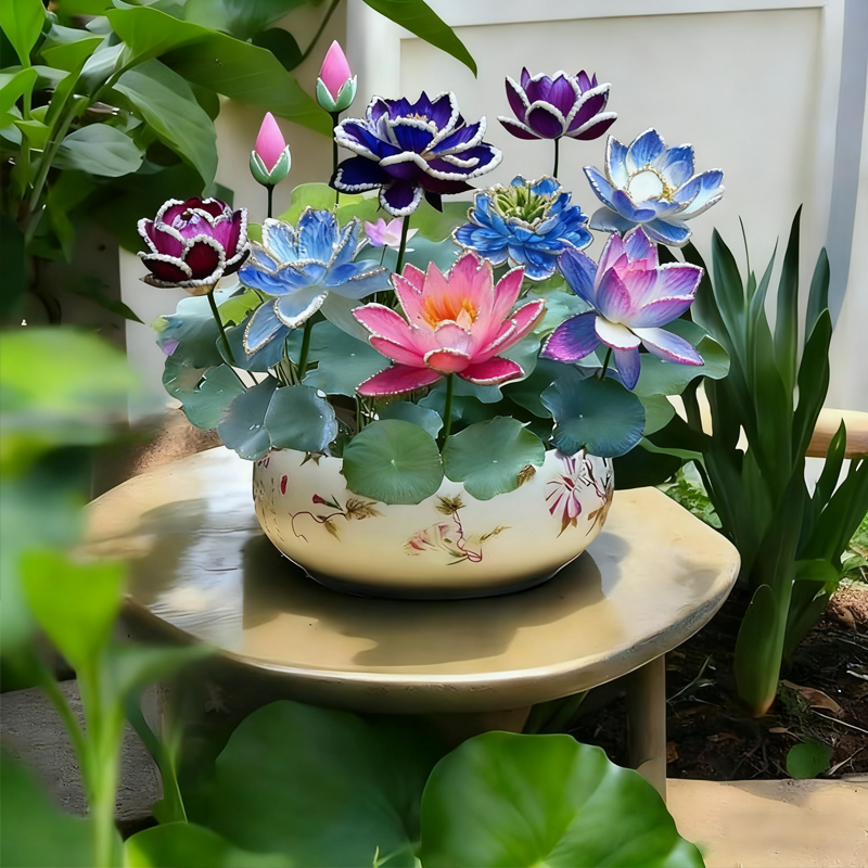 💮Σπόροι Midnight Purple Lotus-GR
