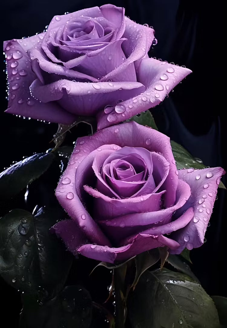 🟣 Una planta rara con una rosa de color púrpura oscuro: un arbusto perenne vivo.-ES