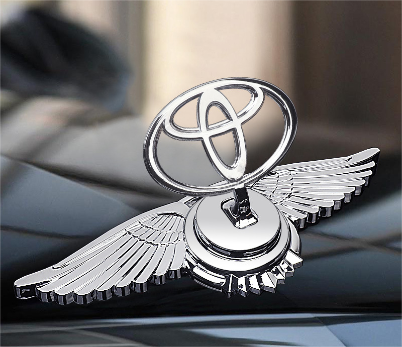 Decoración de modificación de coche con logotipo de capó-ES