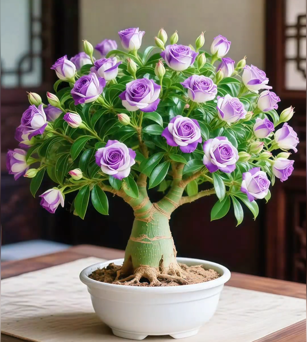 🌵 Retas tuksneša rožu sēklas 🌺 Viegli audzējamas-LV