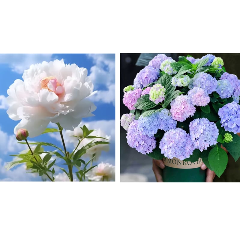 🔥PASKUTINĖ DIENA 45% NUOLAIDA🌺GĖLIŲ KARALIENĖ - DVIGUBA PUTŲ FORMA-LT