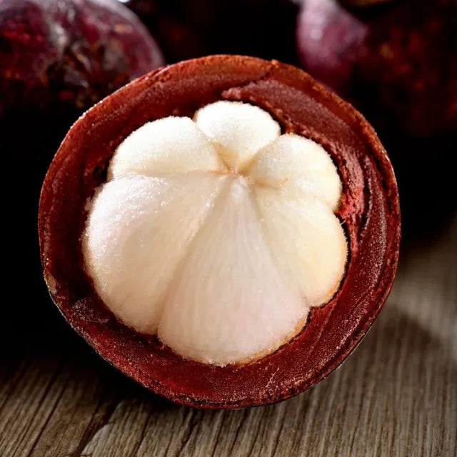 Mangostin-SI
