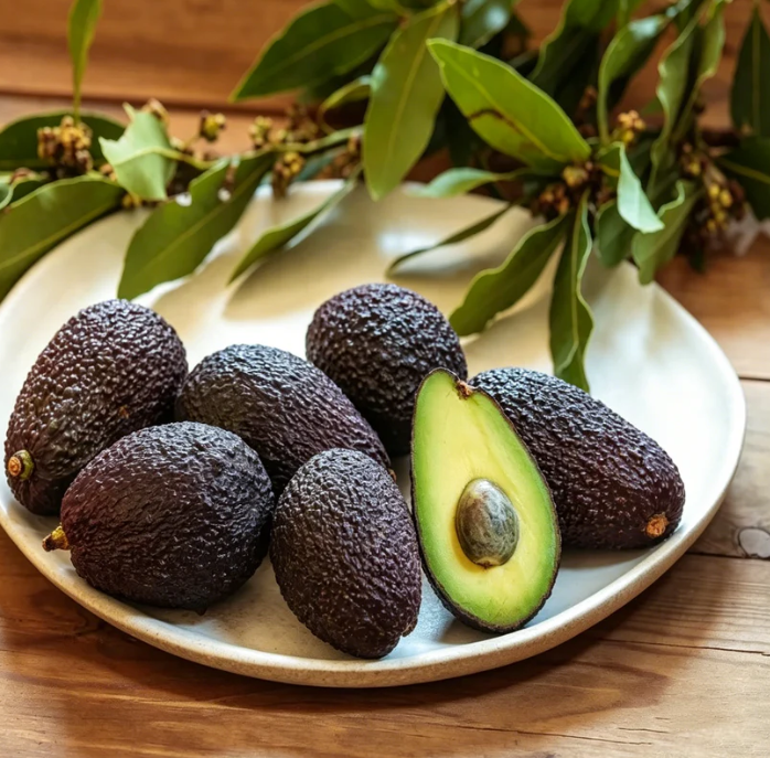 🍃 Serija Heirloom Manor: Set od 13 odabranih sjemenki voća (bez GMO-a) 🌳 – Najprodavaniji proizvod-HR
