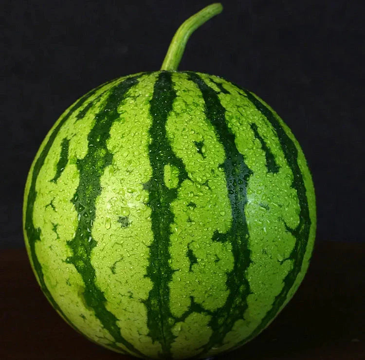 🍉Κόκκινο Νεφρίτη της Πρώιμης Άνοιξης – ένα γλυκό καρπούζι που θα ενθουσιάσει όλη την οικογένεια-GR