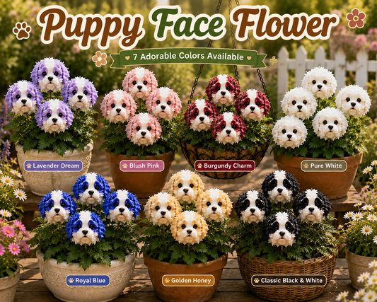 🐶 Bulbos de flores con forma de cara de perro mágico: una flor que parece pequeños cachorros asomándose desde tu jardín.-ES