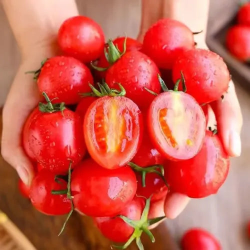 🍅🍅Semillas de tomates enanos en macetas-ES