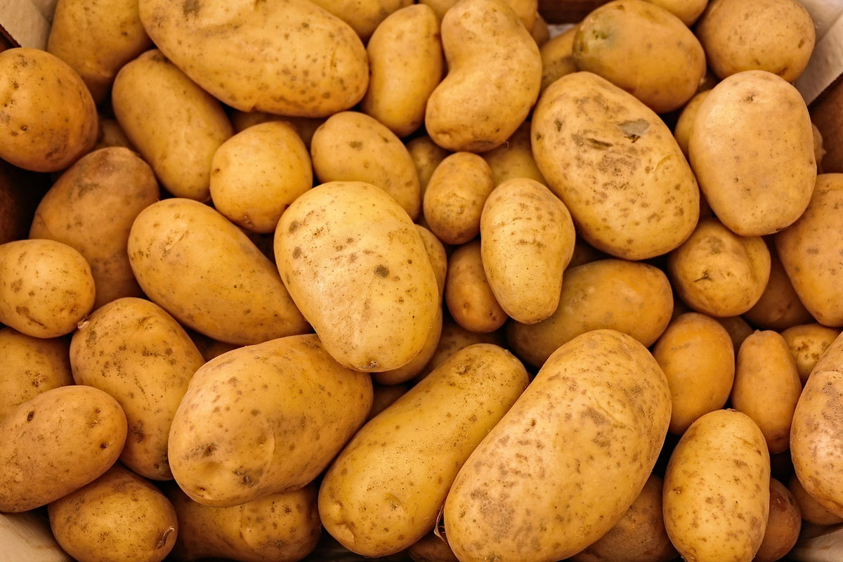🔥Semená zemiakov rastúce na stromoch🥔Lenivé semená-sk