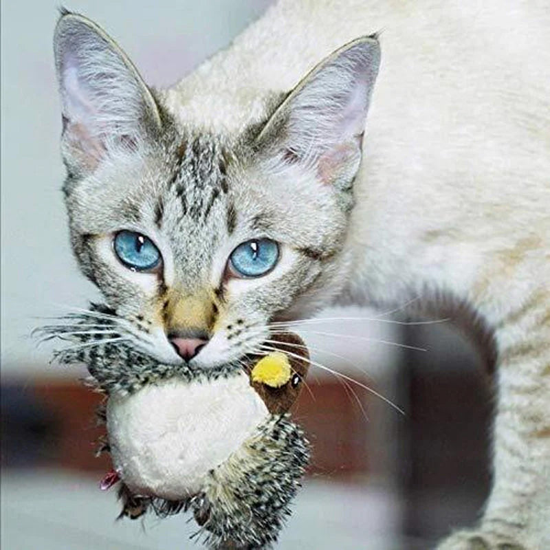 🐱 ΕΝΗΜΕΡΩΜΕΝΟ ΠΑΙΧΝΙΔΙ ΓΑΤΑΣ ΠΟΥ ΜΑΓΟΥΡΕΥΕΙ🐦-GR