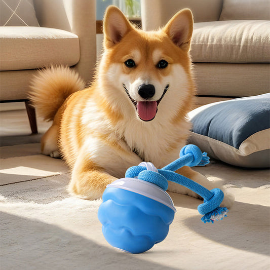 Pelota electrónica interactiva calmante para mascotas-ES