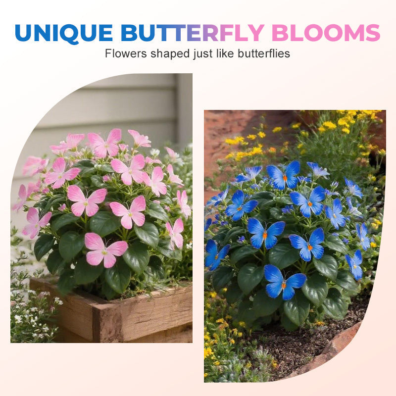 Semillas de flores elegantes con forma de mariposa-ES