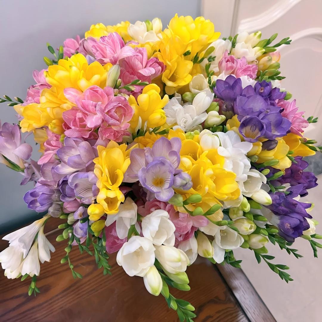 🌷 Fresias en bulbos: una fragancia conocida en todo el mundo.-ES