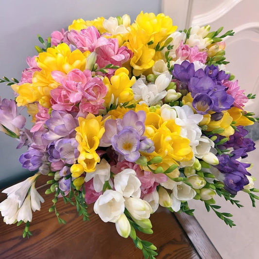 🌷 Fresias en bulbos: una fragancia conocida en todo el mundo.-ES